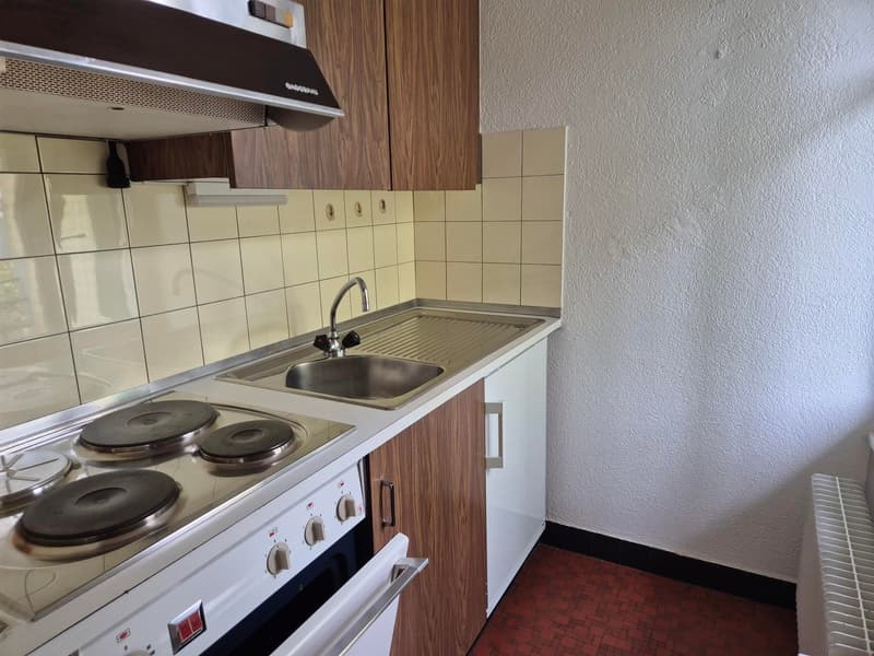 Charmant appartement d'1 pièce à Aigle (6)