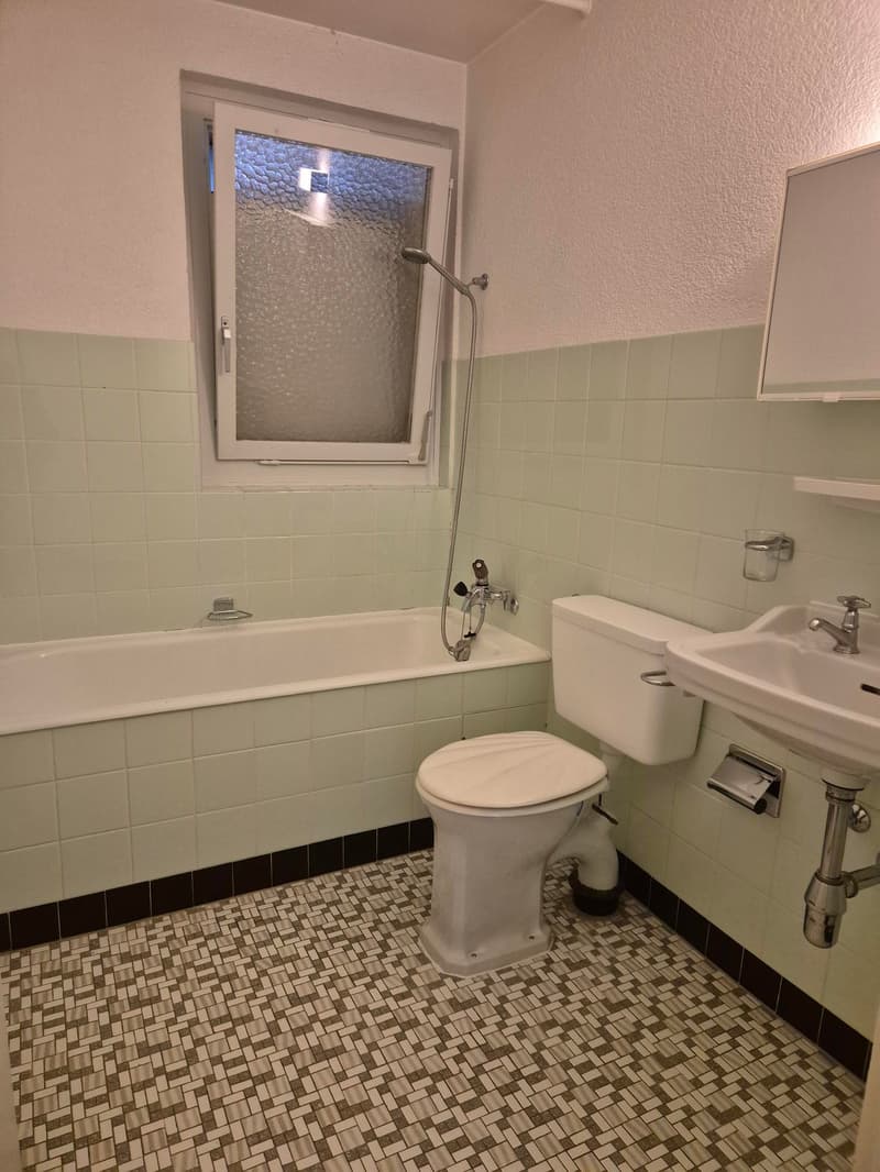 Charmant appartement d'1 pièce à Aigle (3)