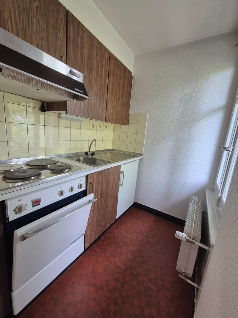 Charmant appartement d'1 pièce à Aigle (5)
