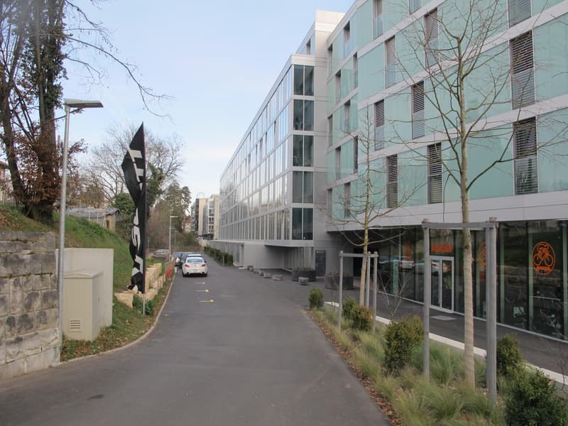 APPARTEMENT 1.5 PIECES (37.5 M2 + GRANDE VERANDA ISOLEE DE 17 M2) (11)