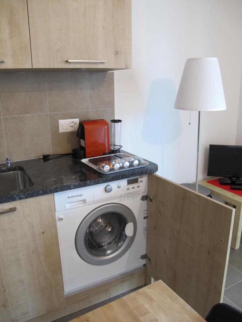 APPARTEMENT 1.5 PIECES (37.5 M2 + GRANDE VERANDA ISOLEE DE 17 M2) (4)