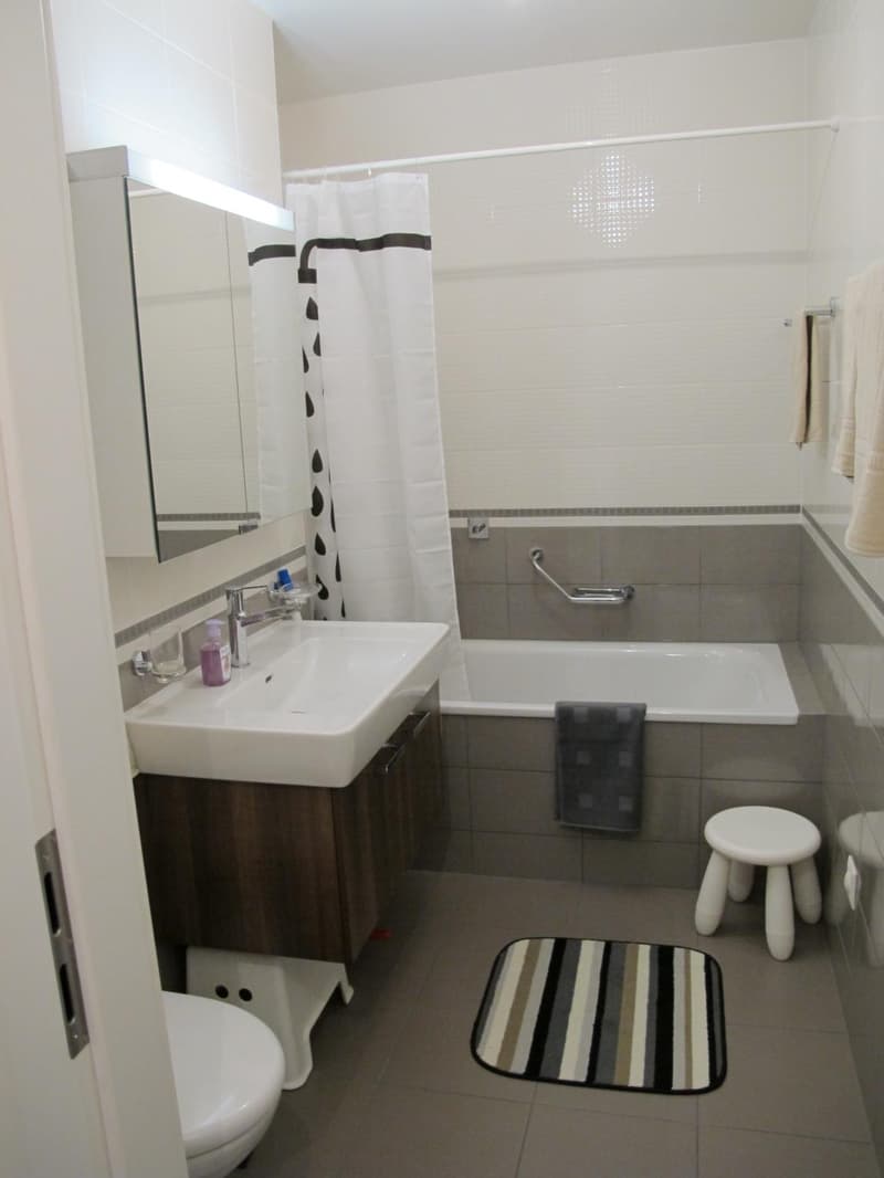 APPARTEMENT 1.5 PIECES (37.5 M2 + GRANDE VERANDA ISOLEE DE 17 M2) (10)