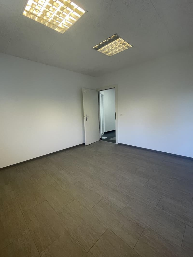 À LOUER ? BUREAU / LOCAL PROFESSIONNEL À BOGIS-BOSSEY (4)