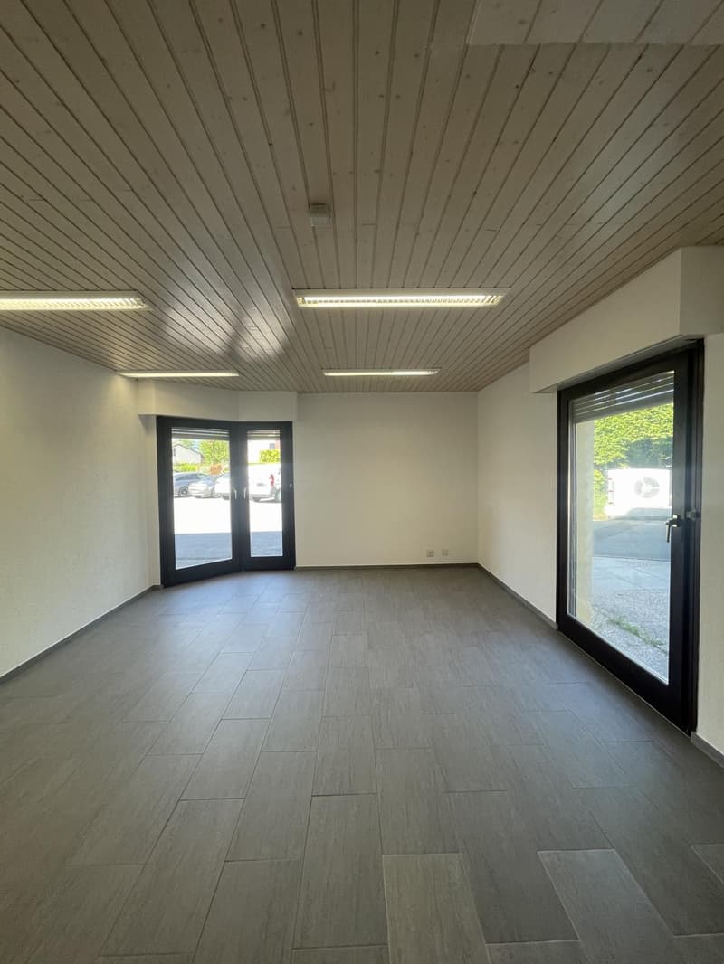 À LOUER ? BUREAU / LOCAL PROFESSIONNEL À BOGIS-BOSSEY (3)