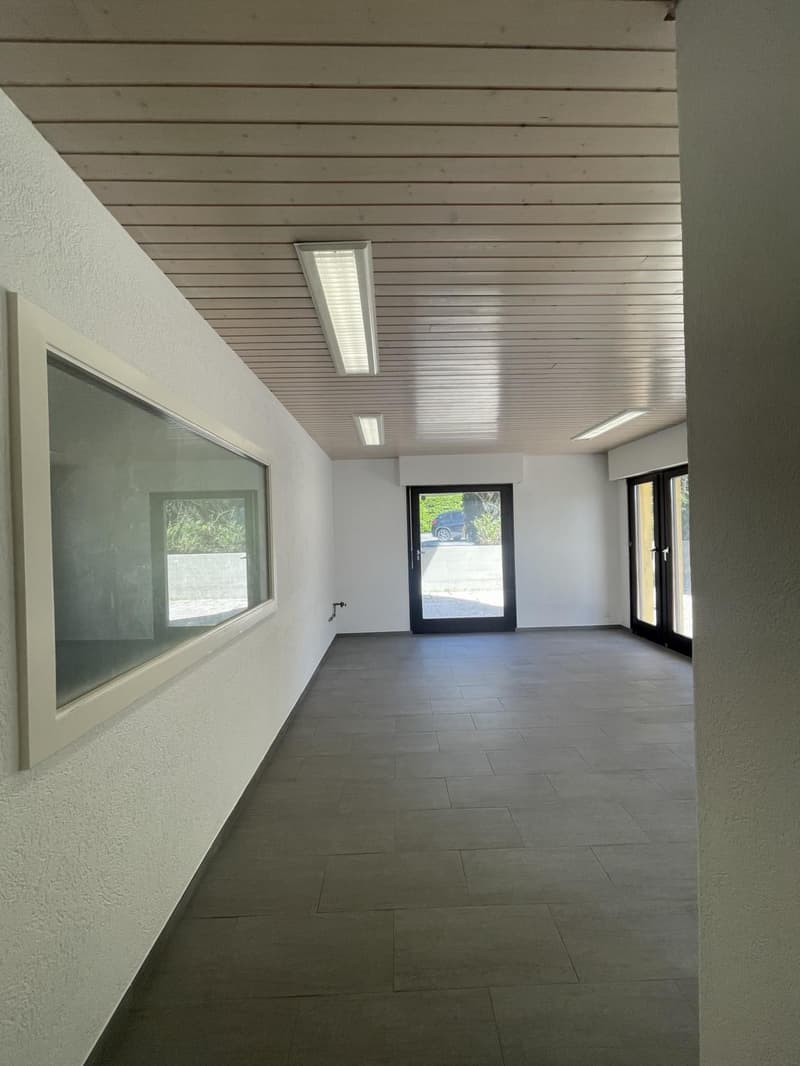 À LOUER ? BUREAU / LOCAL PROFESSIONNEL À BOGIS-BOSSEY (3)