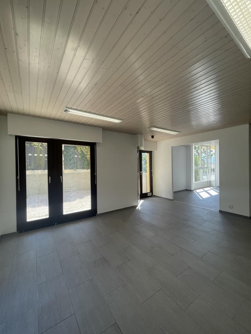 À LOUER ? BUREAU / LOCAL PROFESSIONNEL À BOGIS-BOSSEY (5)