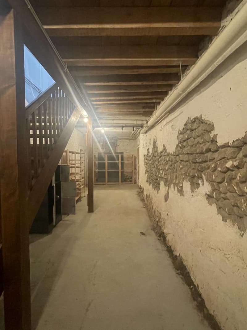 ARCADE COMMERCIAL DE 120 M2 AU COEUR DE NYON (10)