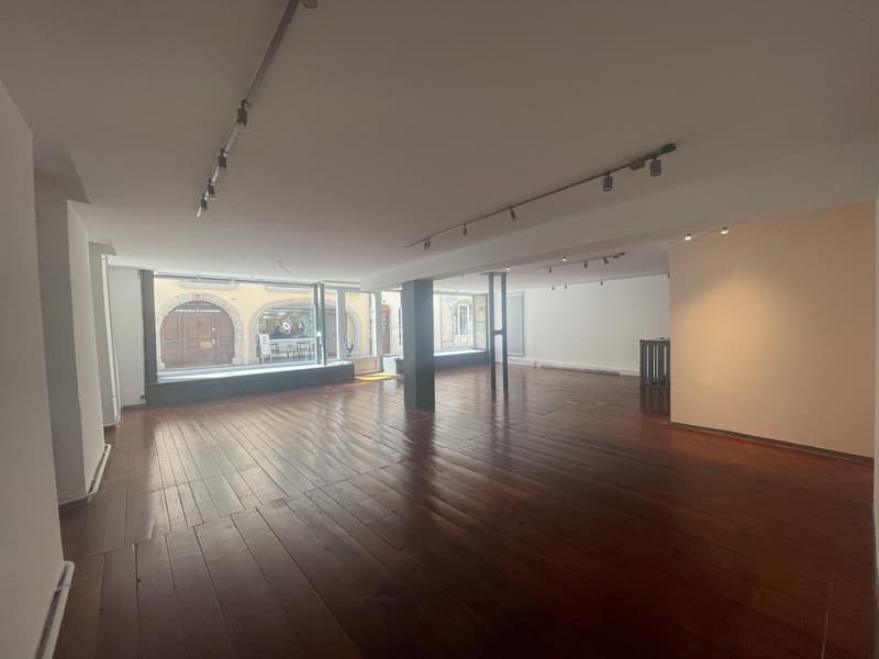 ARCADE COMMERCIAL DE 120 M2 AU COEUR DE NYON (6)