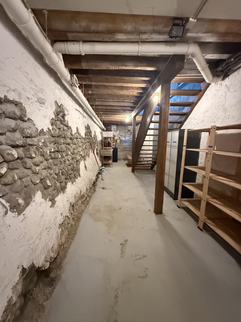 ARCADE COMMERCIAL DE 120 M2 AU COEUR DE NYON (11)