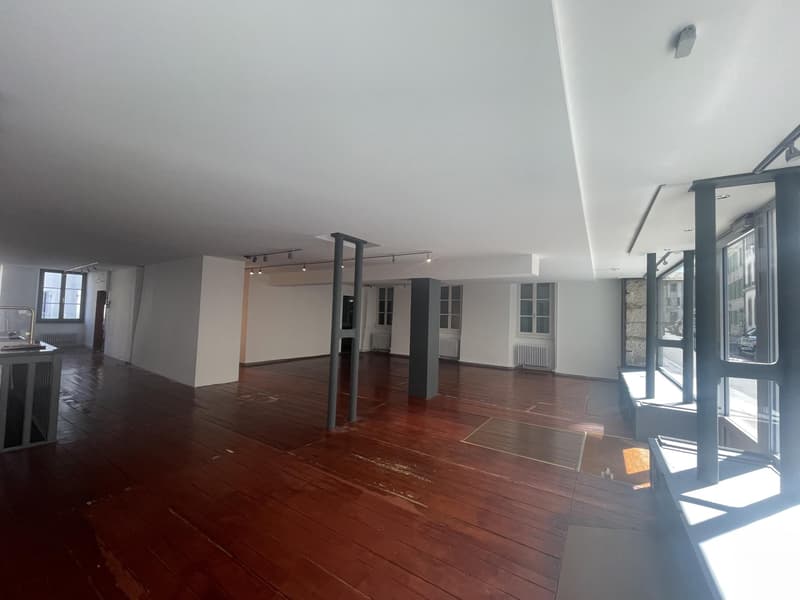 ARCADE COMMERCIAL DE 120 M2 AU COEUR DE NYON (5)