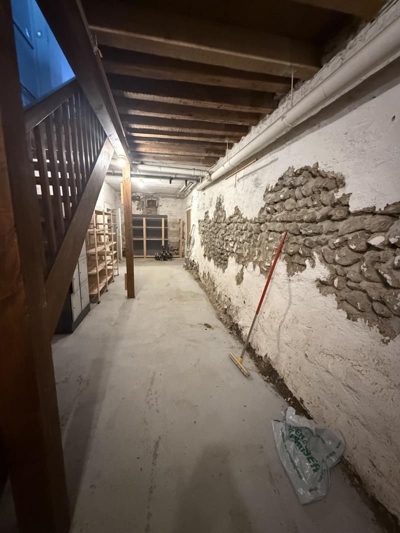 ARCADE COMMERCIAL DE 120 M2 AU COEUR DE NYON (10)