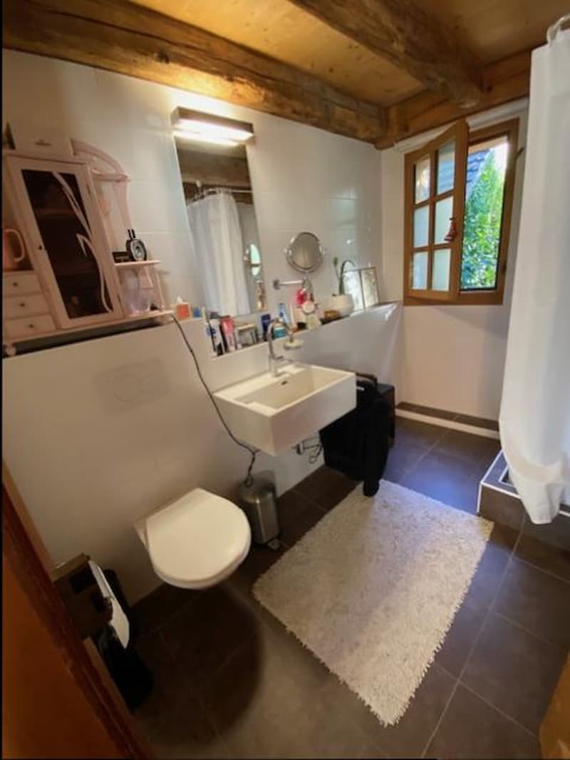 HABITATION VILLAGEOISE - CRANS-PRES-CELIGNY (6 PIECES) (11)