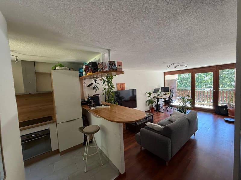 BEL APPARTEMENT DANS COMPLEXE IMMOBILIER EN PLEINE NATURE (2)