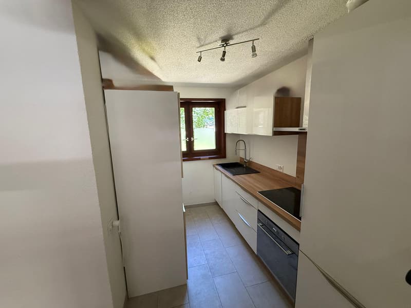 BEL APPARTEMENT DANS COMPLEXE IMMOBILIER EN PLEINE NATURE (6)