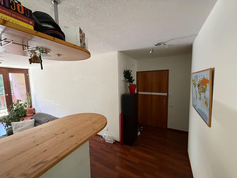 BEL APPARTEMENT DANS COMPLEXE IMMOBILIER EN PLEINE NATURE (4)
