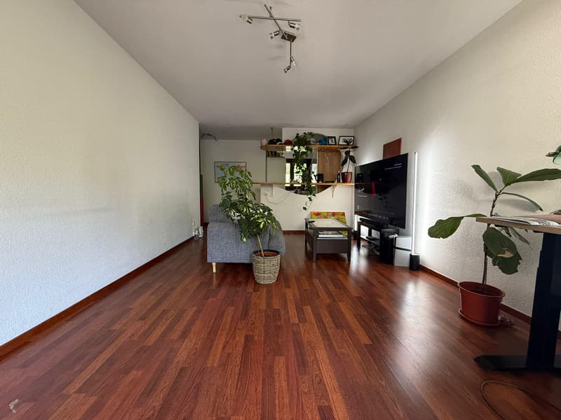 BEL APPARTEMENT DANS COMPLEXE IMMOBILIER EN PLEINE NATURE (3)
