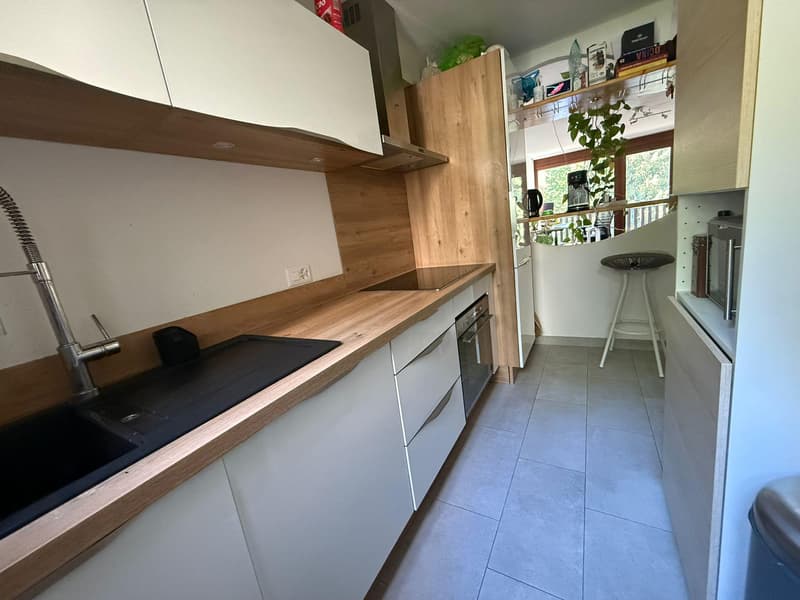 BEL APPARTEMENT DANS COMPLEXE IMMOBILIER EN PLEINE NATURE (5)