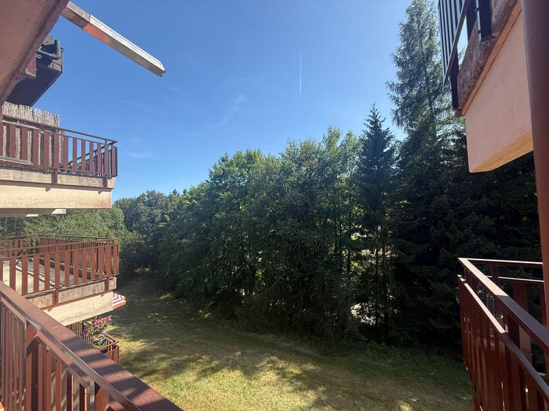 BEL APPARTEMENT DANS COMPLEXE IMMOBILIER EN PLEINE NATURE (8)