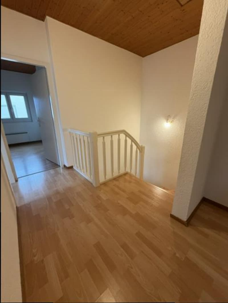 APPARTEMENT DUPLEX - 5 PIECES - DANS QUARTIER CALME (12)