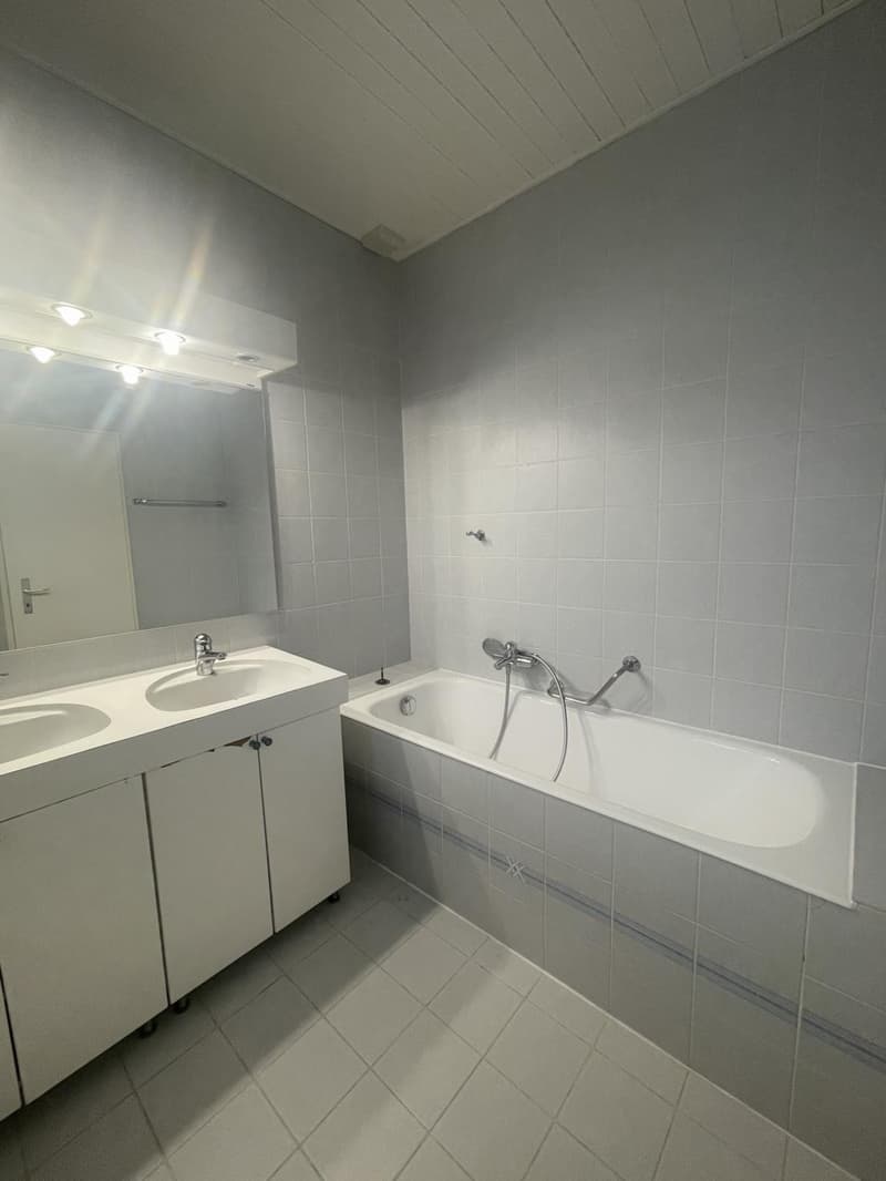 APPARTEMENT DUPLEX - 5 PIECES - DANS QUARTIER CALME (12)