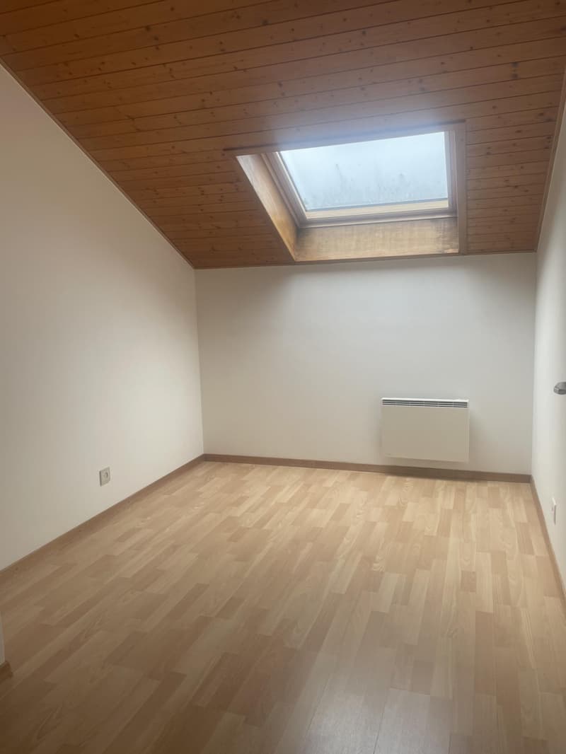 APPARTEMENT DUPLEX - 5 PIECES - DANS QUARTIER CALME (13)