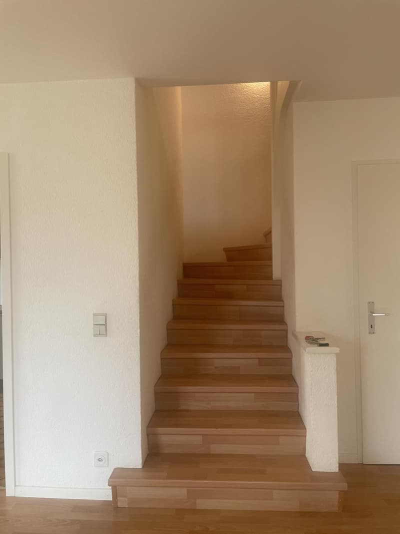 APPARTEMENT DUPLEX - 5 PIECES - DANS QUARTIER CALME (8)