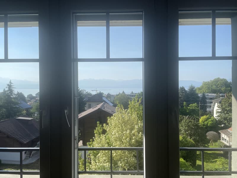 GRAND 2.5 PIECES MEUBLE AVEC VUE SUR LAC (2)