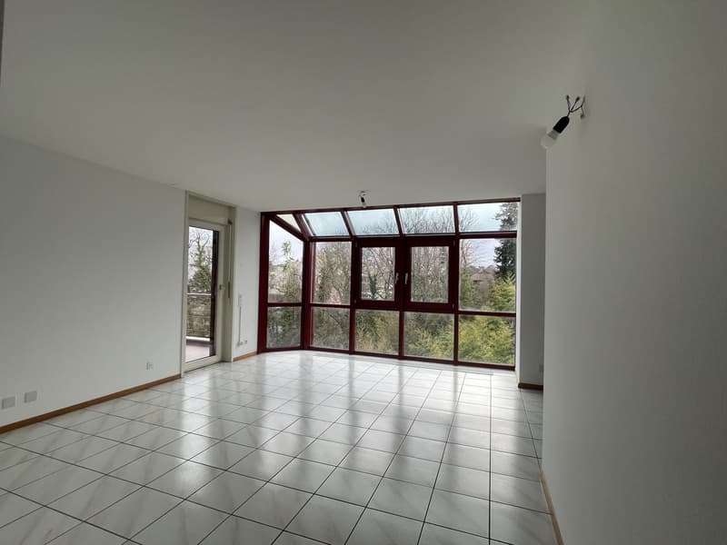 UNIQUE 3.5 PIECES VUE FORET (2)