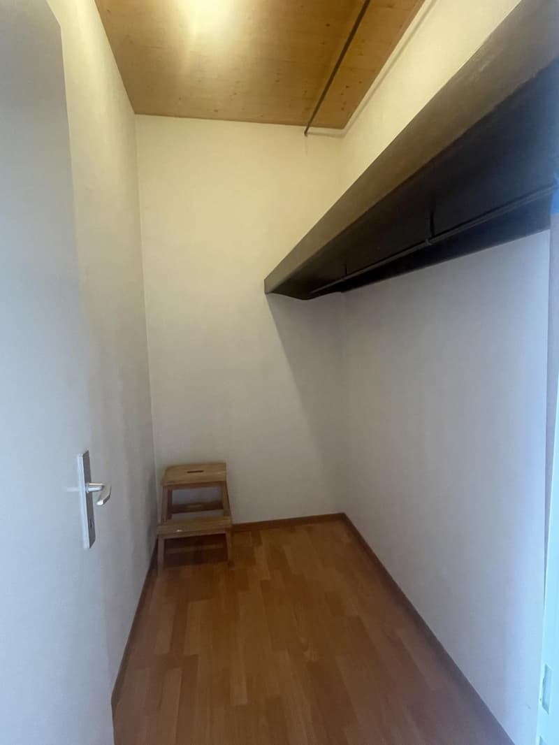 APPARTEMENT DUPLEX - 5 PIECES - TERRE SAINTE (10)