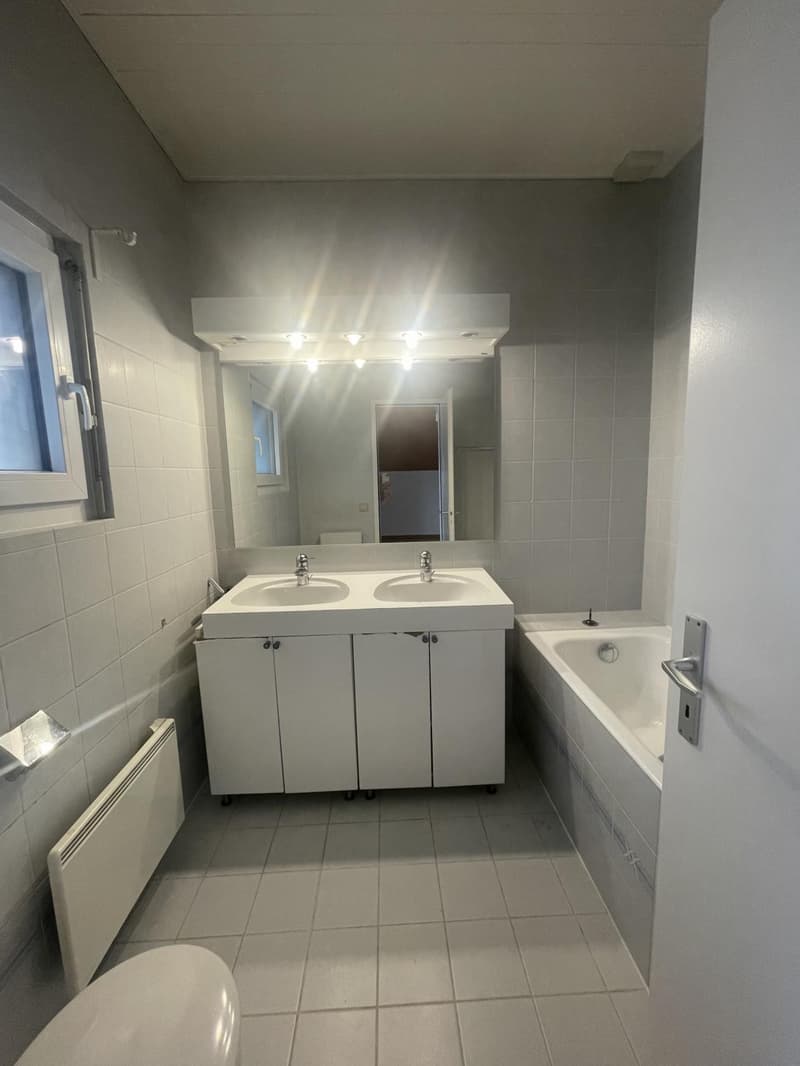 APPARTEMENT DUPLEX - 5 PIECES - TERRE SAINTE (12)