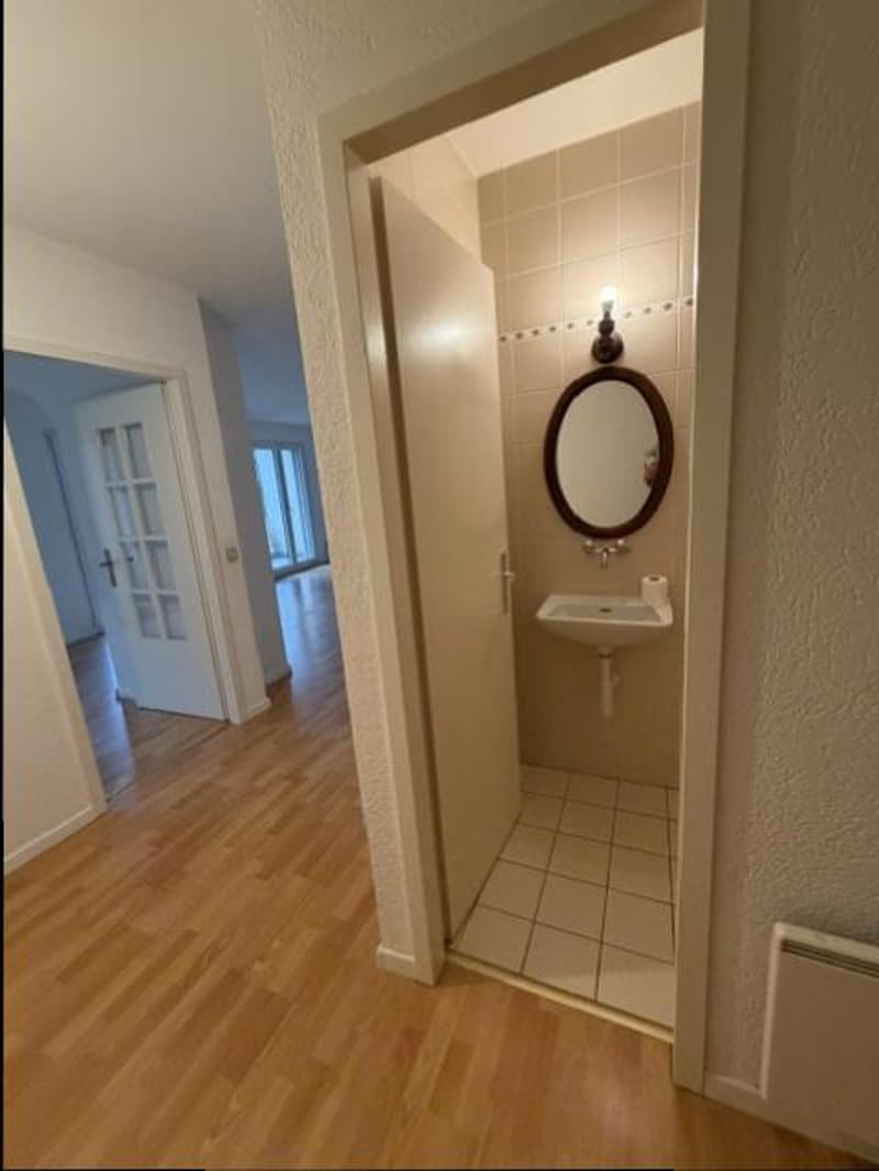 APPARTEMENT DUPLEX - 5 PIECES - TERRE SAINTE (3)