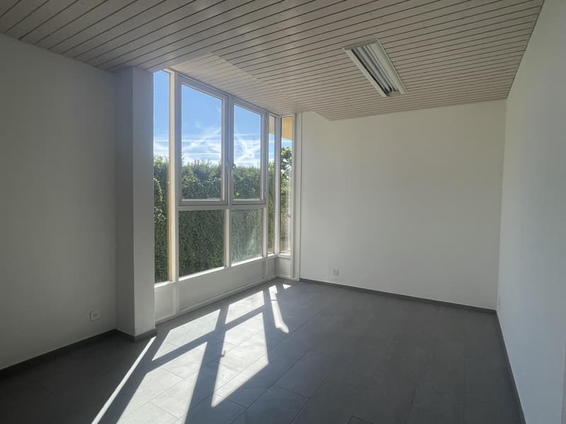 MAGNIFIQUE ARCADE / BUREAUX DE 100 m² À BOSSEY (3)