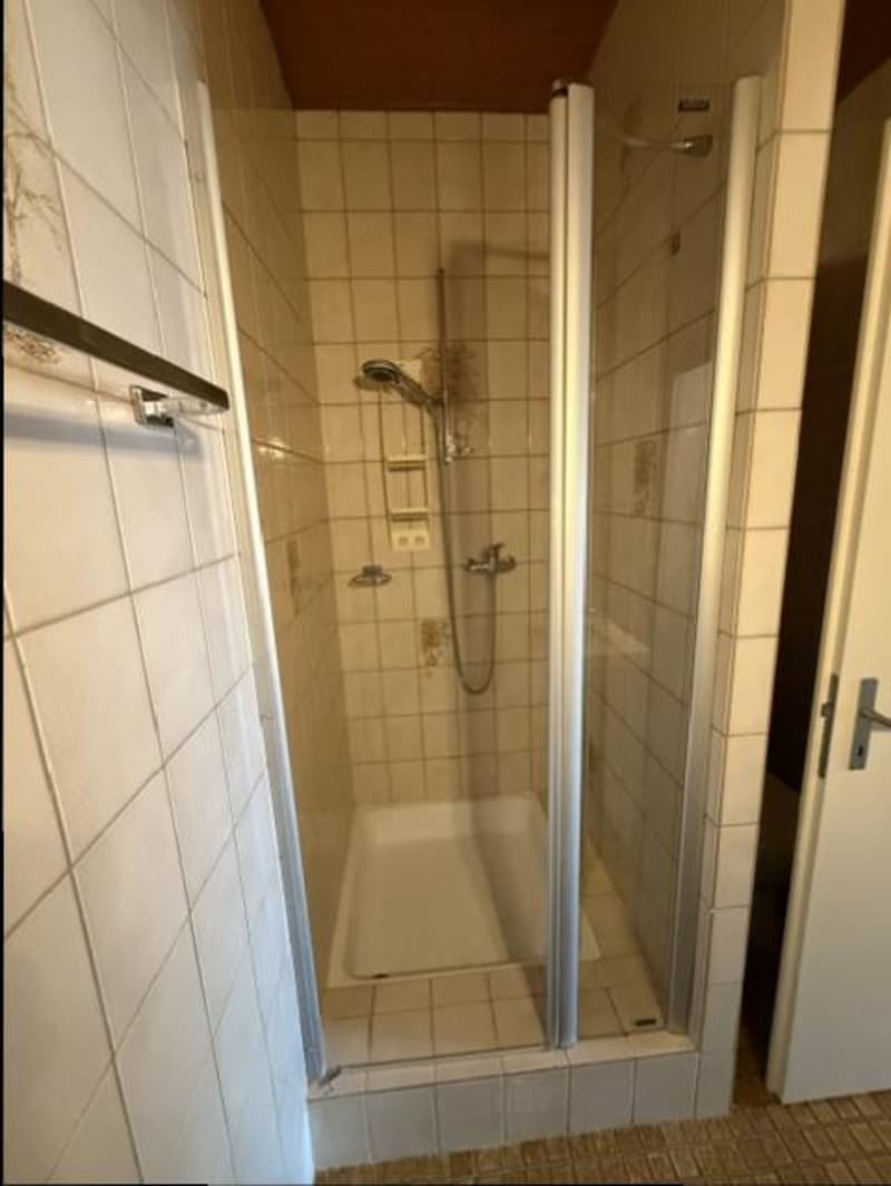 APPARTEMENT DUPLEX - 5 PIECES (étage et combles) - En rénovation (13)