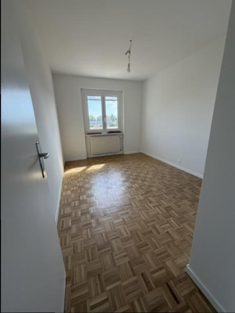 APPARTEMENT 4.5 PIECES AVEC JARDIN - ENTIEREMENT RENOVE (11)