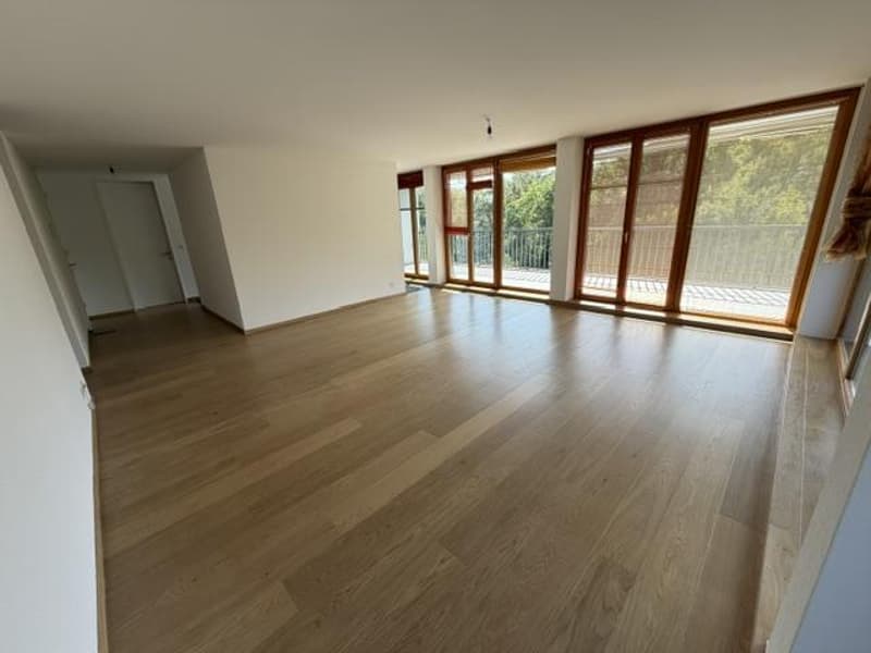 BEL APPARTEMENT-TERRASSE - NYON (5)