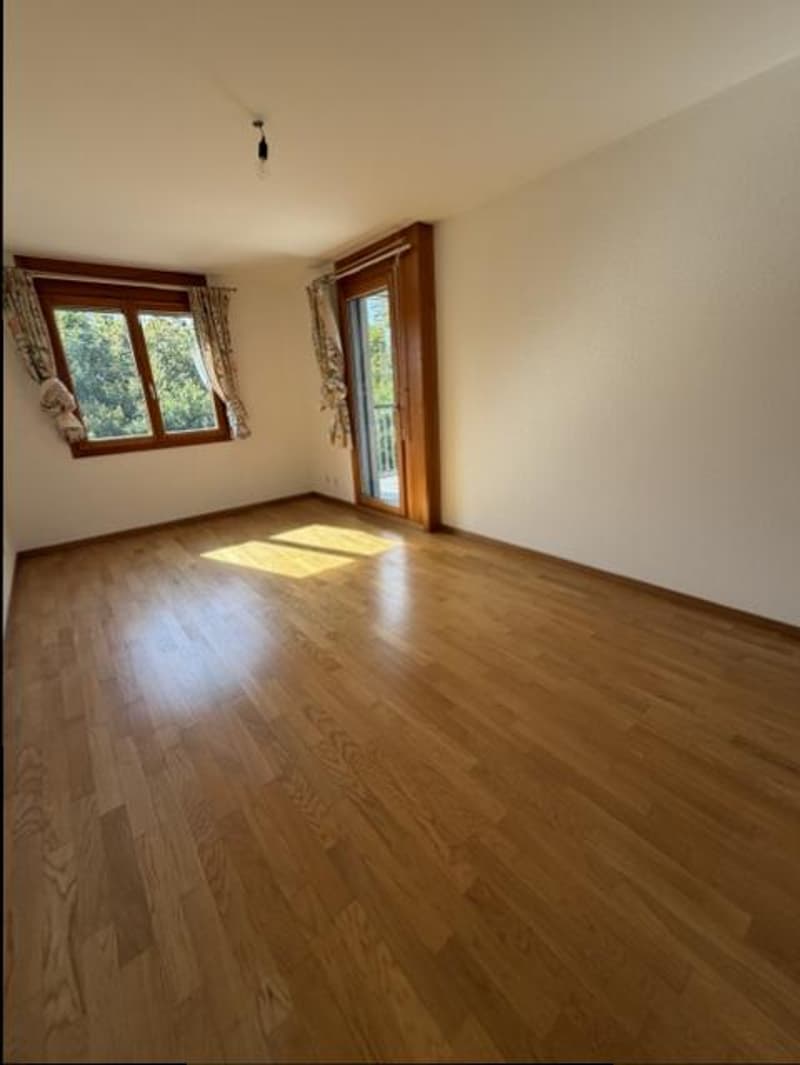 BEL APPARTEMENT-TERRASSE - NYON (9)