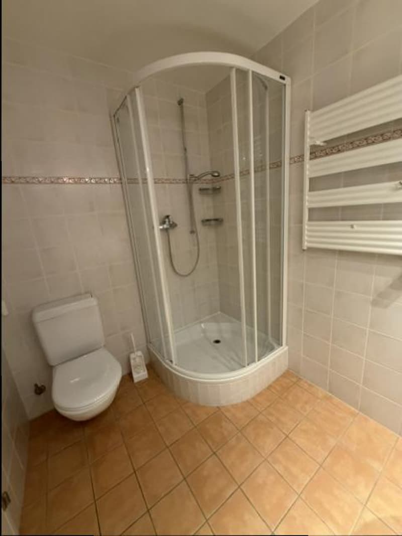 BEL APPARTEMENT-TERRASSE - NYON (10)