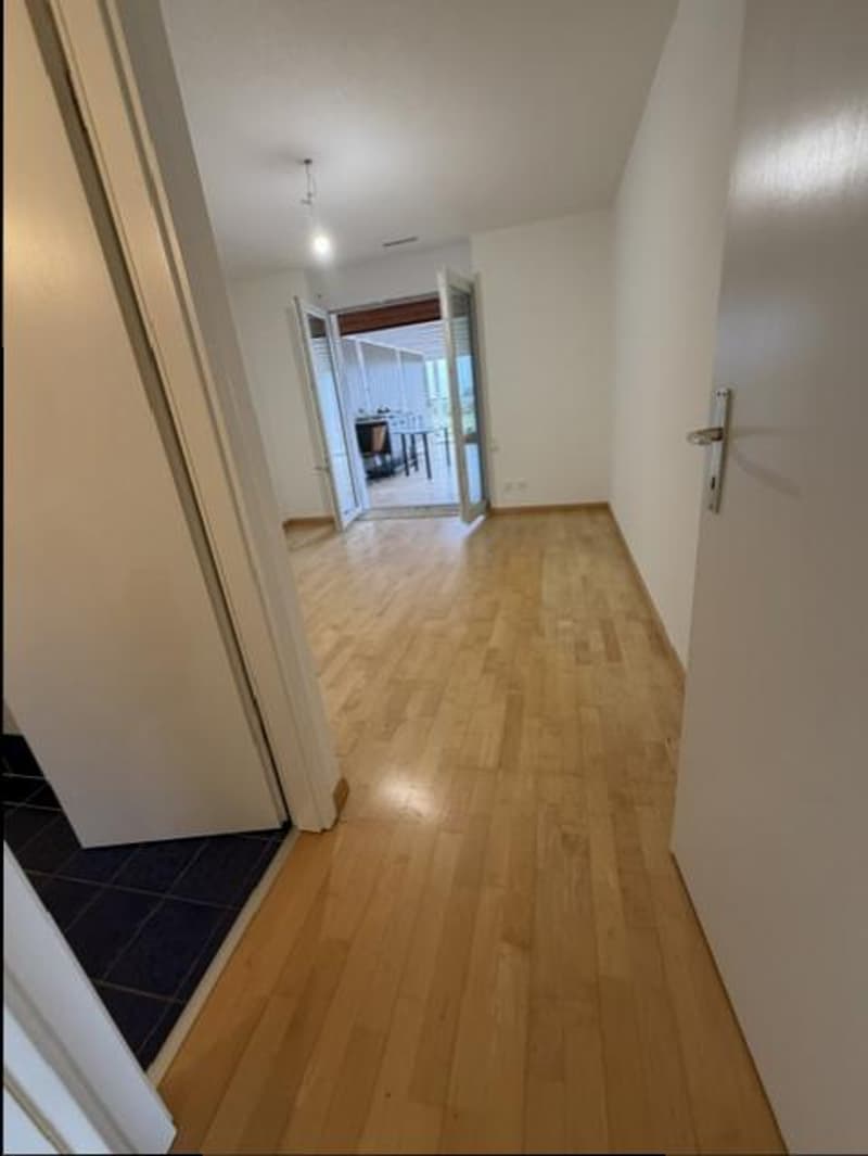 VILLA CONTEMPORAINE - 5.5 PIECES - AVEC STUDIO INDEPENDANT (9)