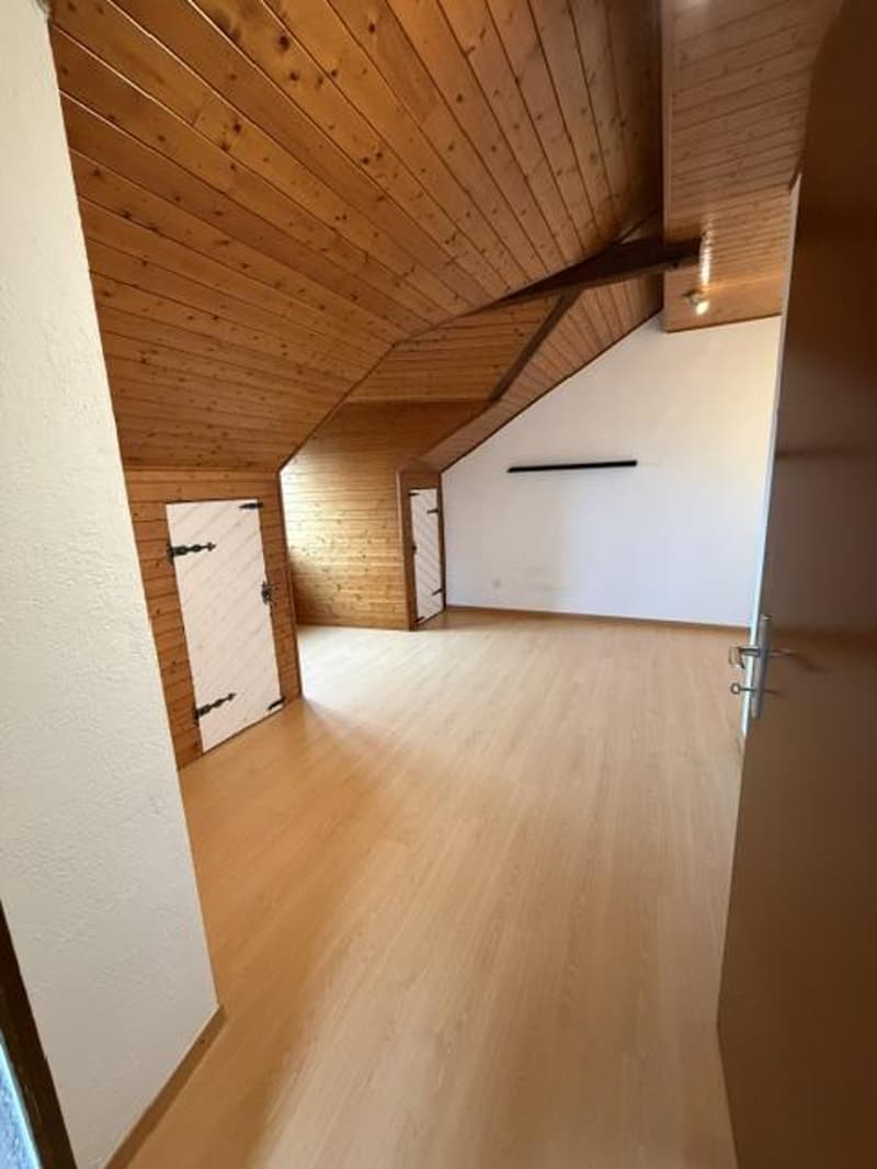 APPARTEMENT 2.5 PIECES - COINSINS (10)