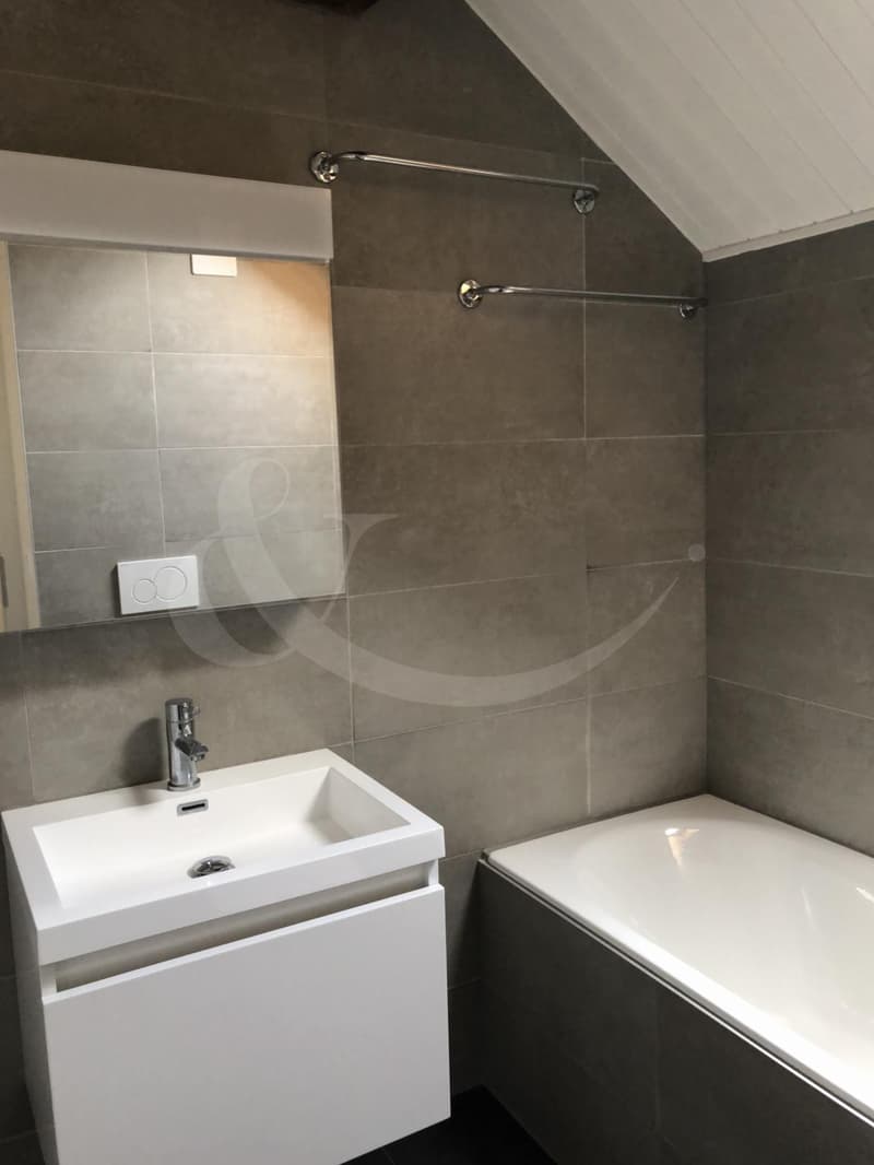 Rue des Etuves 14, Magnifique duplex de 4.5 pièces (10)