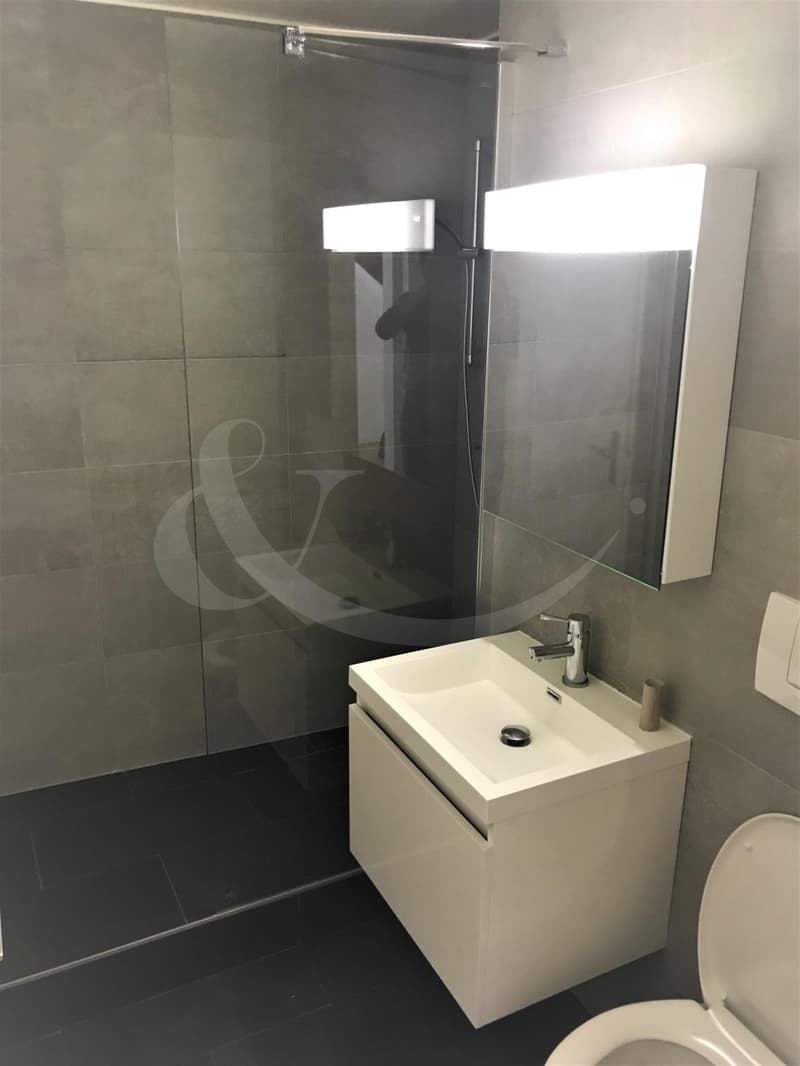 Rue des Etuves 14, Magnifique duplex de 4.5 pièces (11)