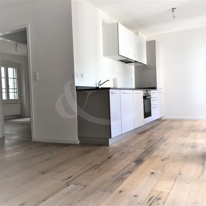 Rue des Etuves 14, Magnifique duplex de 4.5 pièces (3)