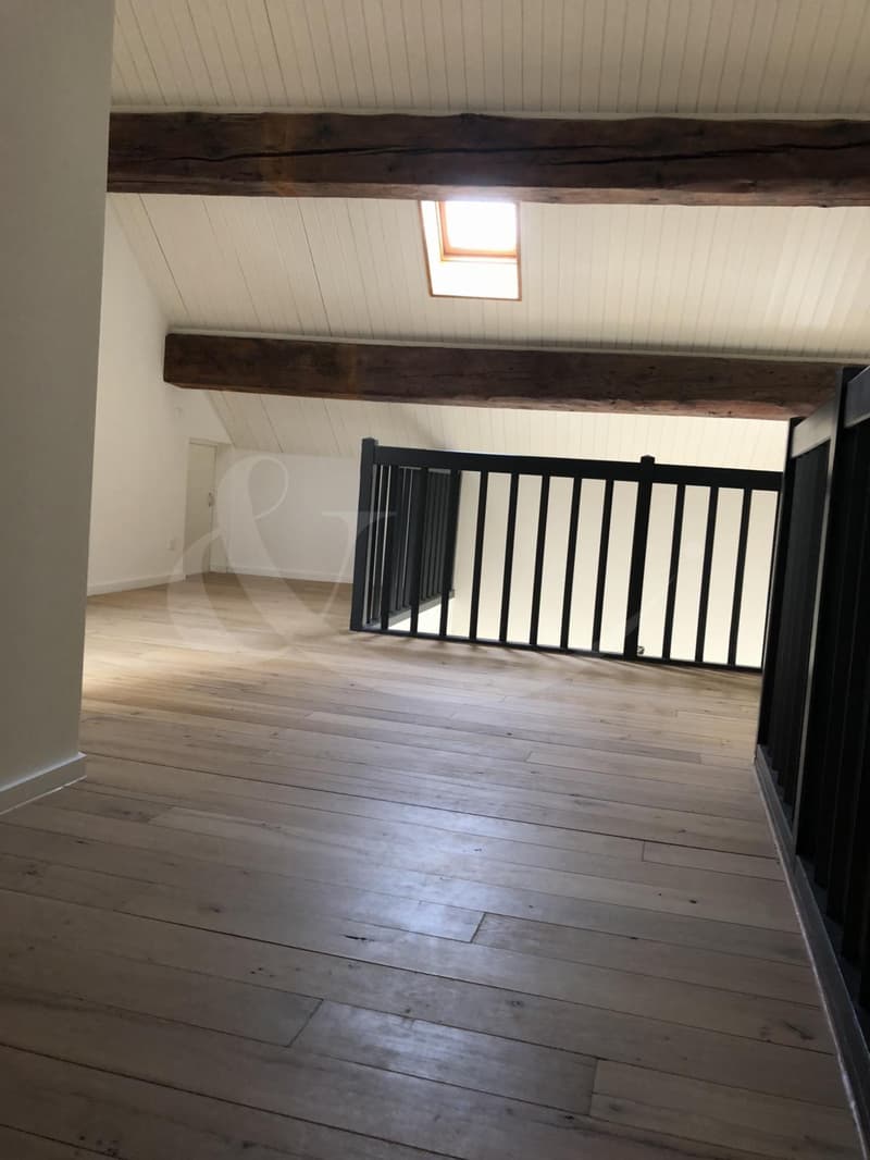 Rue des Etuves 14, Magnifique duplex de 4.5 pièces (7)