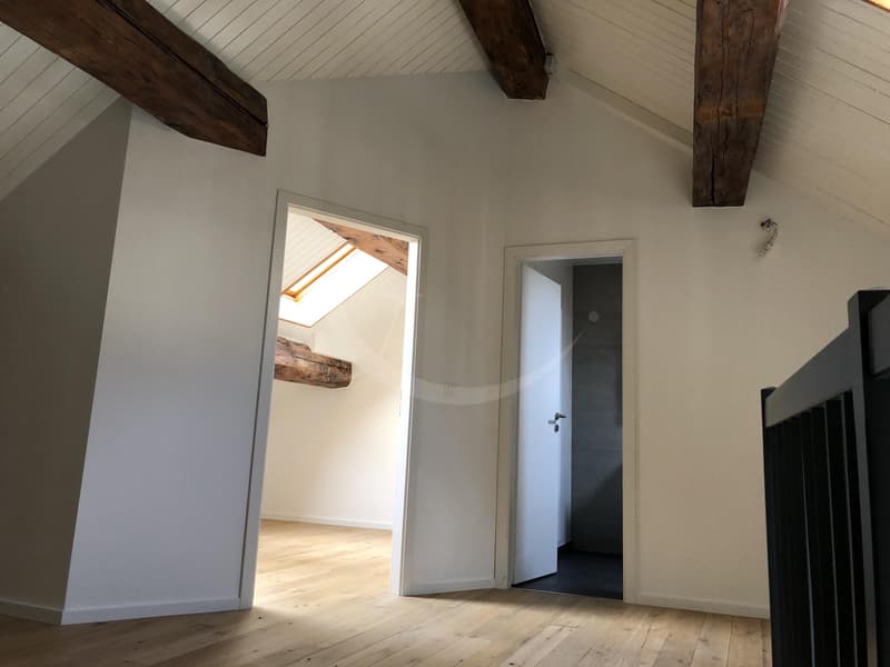 Rue des Etuves 14, Magnifique duplex de 4.5 pièces (5)