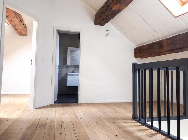Rue des Etuves 14, Magnifique duplex de 4.5 pièces (6)