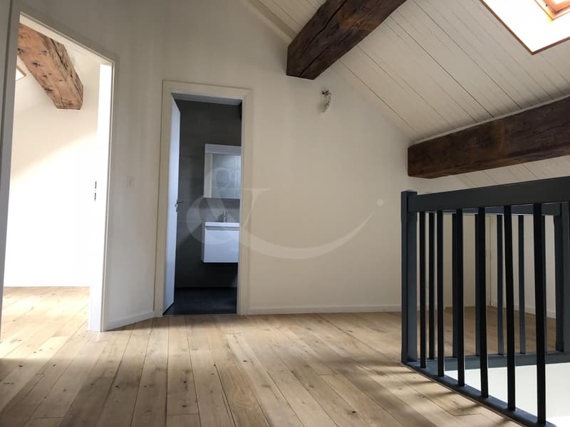 Rue des Etuves 14, Magnifique duplex de 4.5 pièces (8)