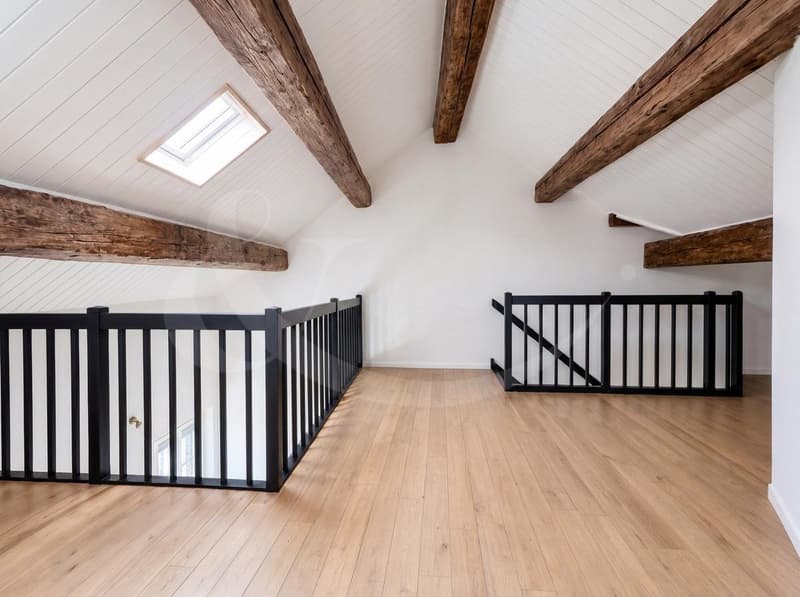 Rue des Etuves 14, Magnifique duplex de 4.5 pièces (5)