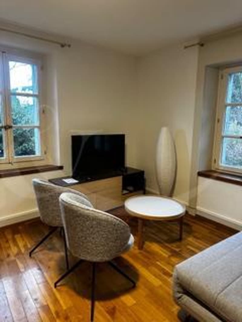 Rue Ancienne 27, Appartement MEUBLE de 2.5 pièces (4)