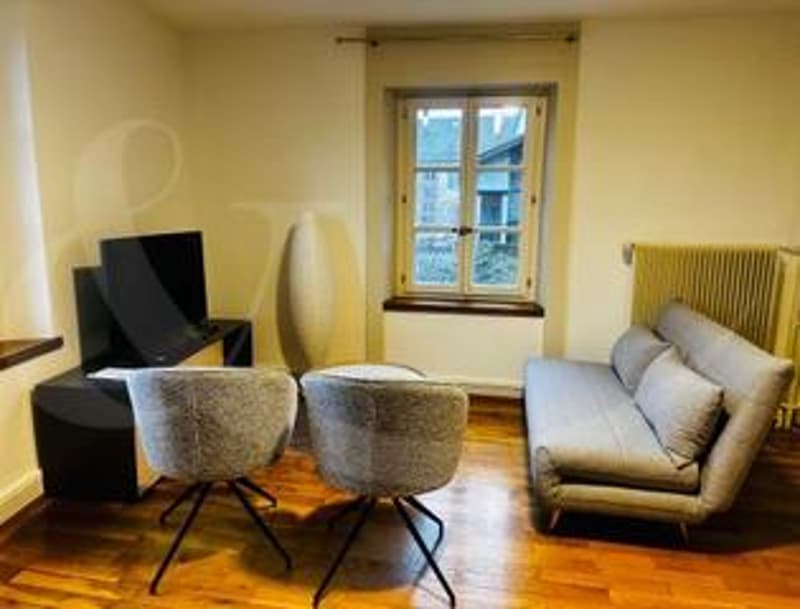 Rue Ancienne 27, Appartement MEUBLE de 2.5 pièces (3)