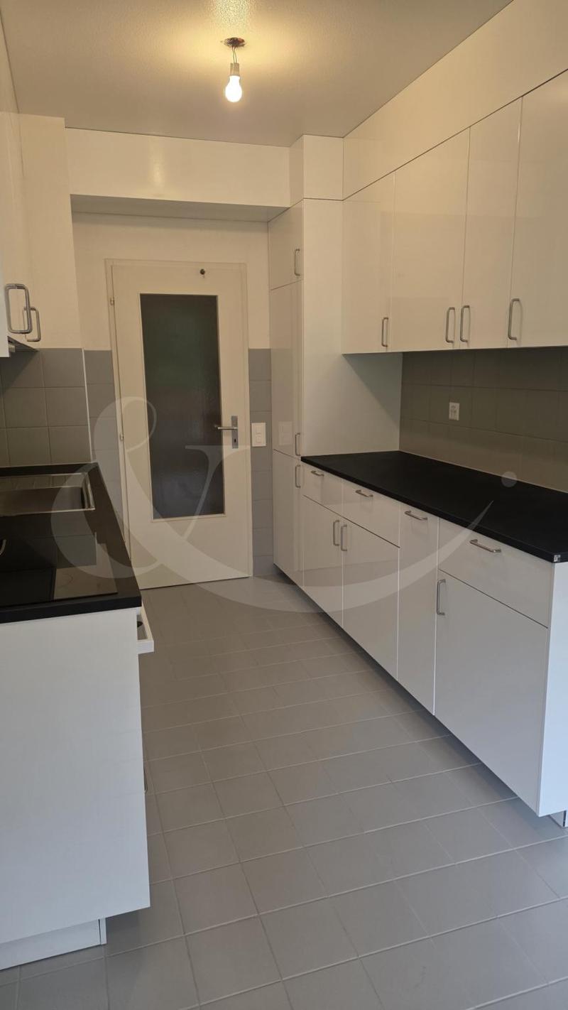 Rte de Frontenex 112, Superbe appartement traversant de 7 pièces (4)